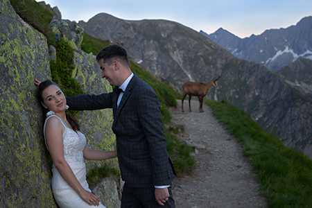 Groom is smiling to bride at Tatra mountains with a mountain goat in the background.