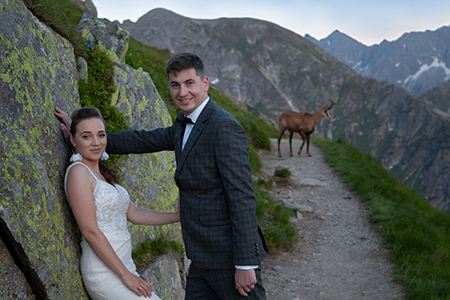 Wedding couple at the mountains, smiling posing at the polish-slovakian mountains with a mountain goat in the background.