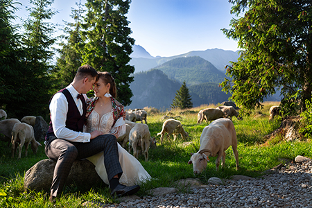 Wedding couple having a romantic moment sitting on a rock among trees and sheeps. Groom holding the bride, smiling to eachother.